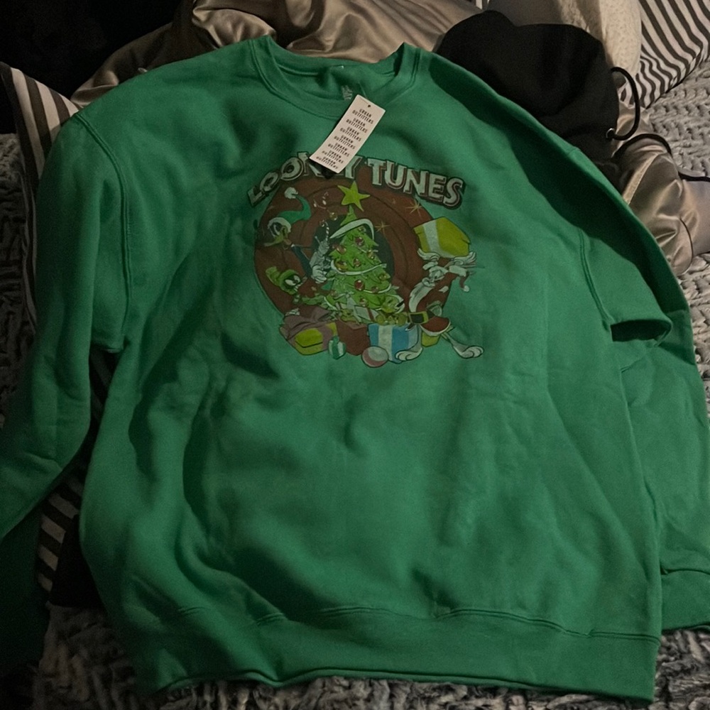 NWT urban outfitter loony tunes sweatshirt